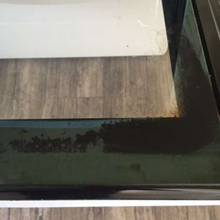 33 Station Street Tirau_35