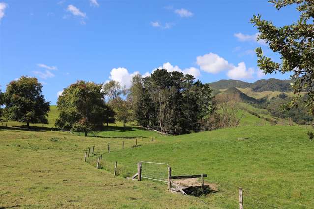 28 Wyborn Road Te Aroha_2