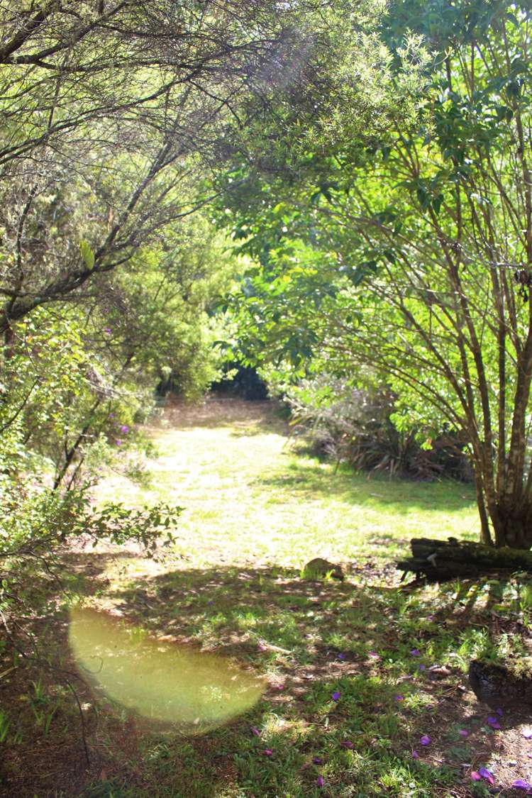 470 Tapu Coroglen Road Tapu_5