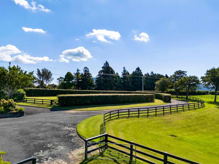 911 Plymouth Road Koru_36