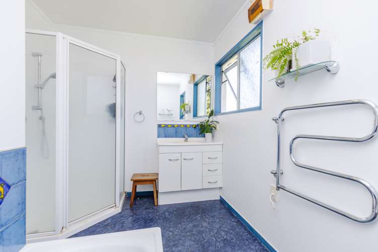 28a Bryce Street Kihikihi_7