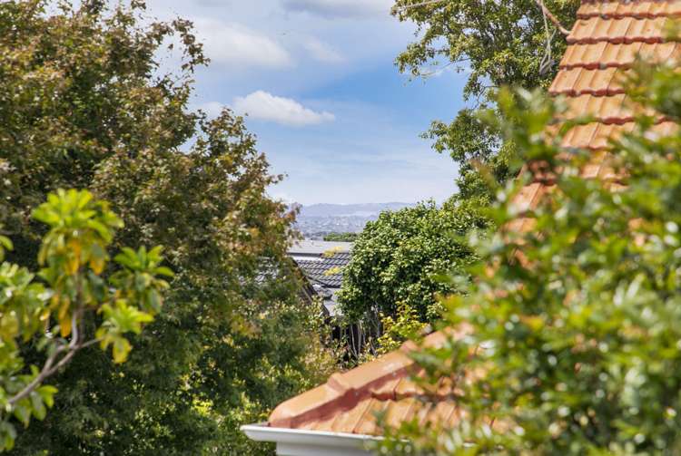 12b Korokino Road Greenlane_18