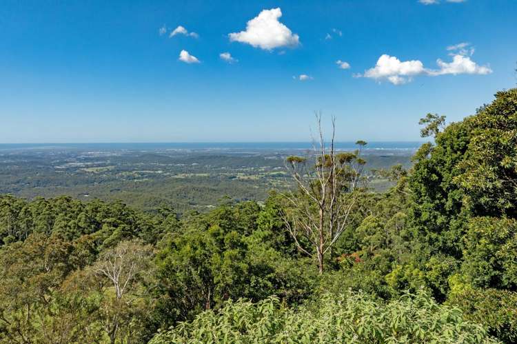 4-6 Coomera Gorge Drive Tamborine Mountain_9