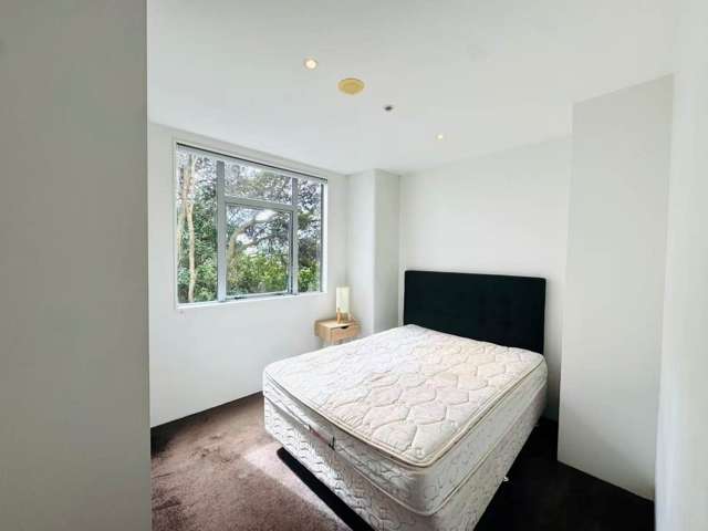 305/10 Ronayne Street Parnell_4