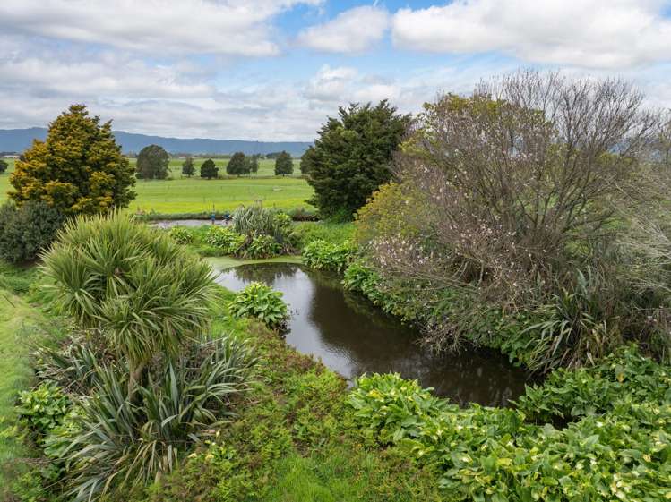 222 Gunn Road Matamata_21
