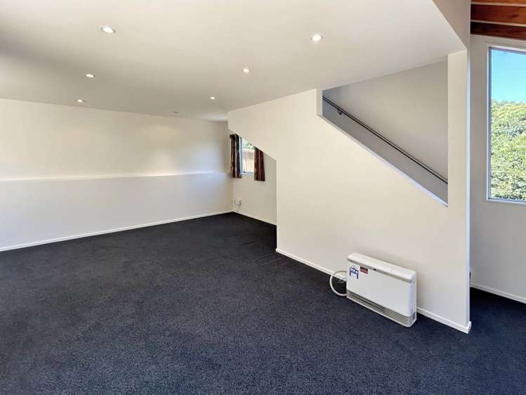 27A Ayr Street Parnell_19