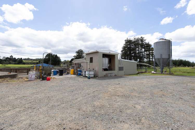 503 Puhipuhi Road Whakapara_19