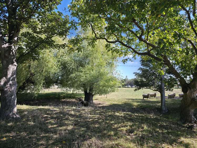 1A College Street Oamaru_7