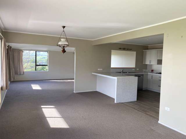 1333A Tuakau Bridge-Port Waikato Road Port Waikato_2