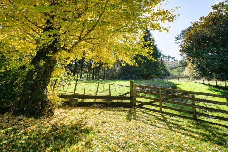 16 Somerset Street Waihi_18