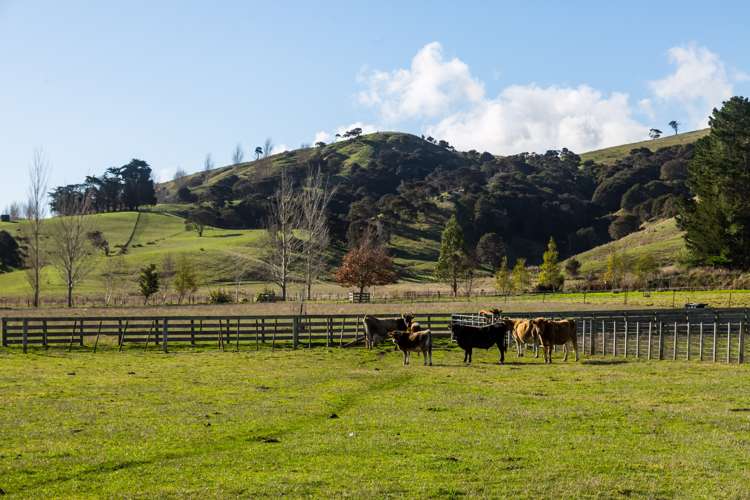 822a Longbush Road Carterton_9