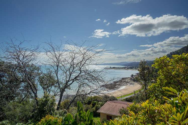 17 Adams Road Thames_12