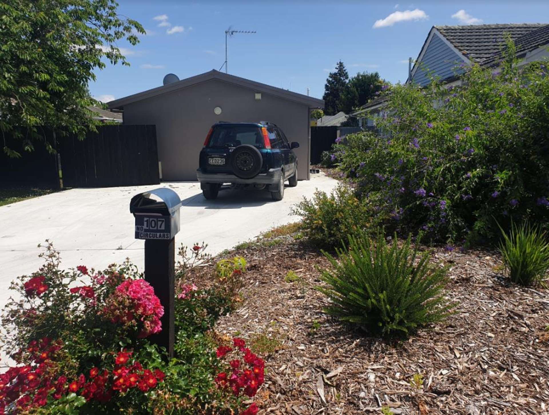 107 Cook Street 1074_0