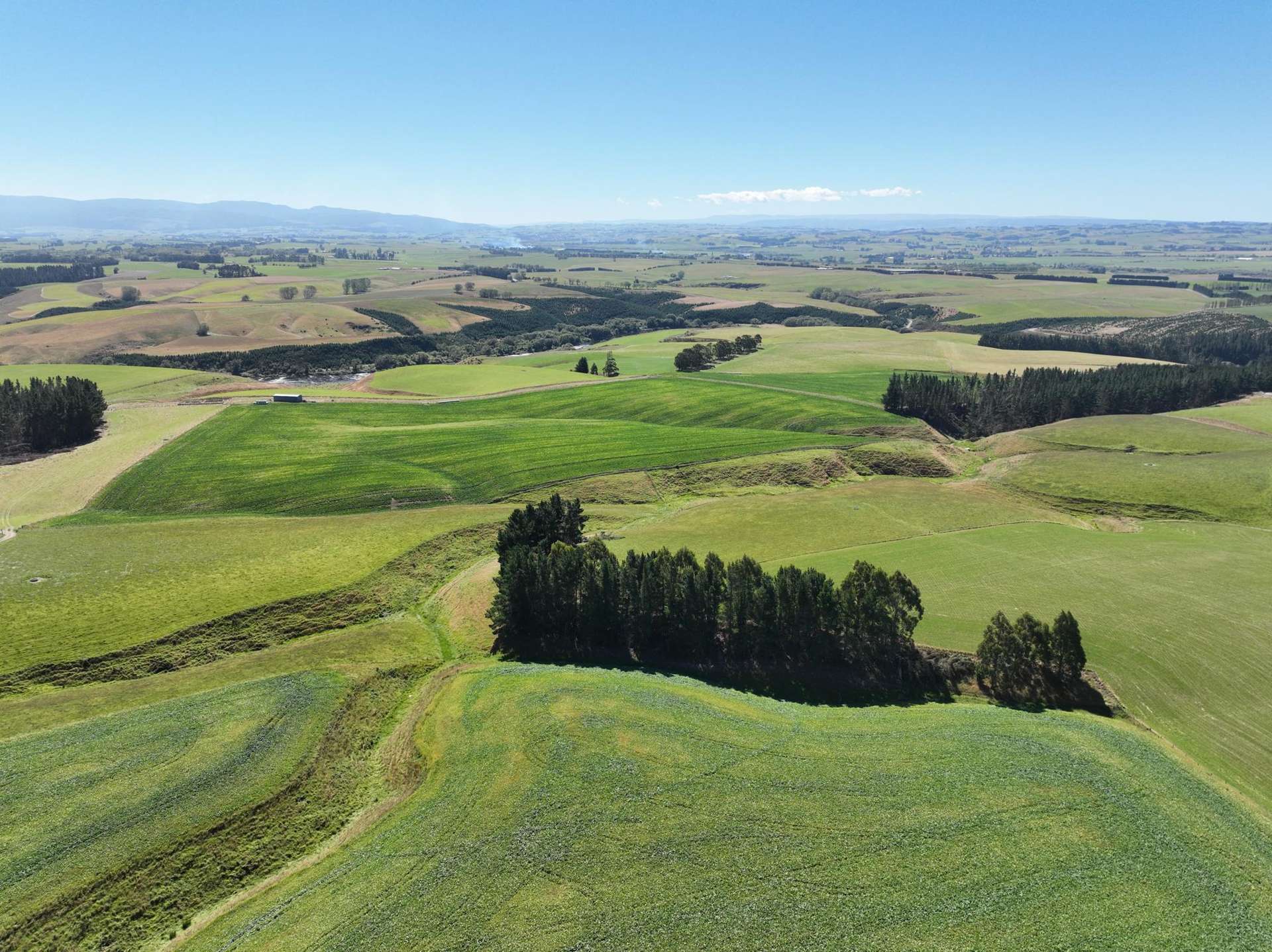 675 Black Bridge Road Ashley Downs_0