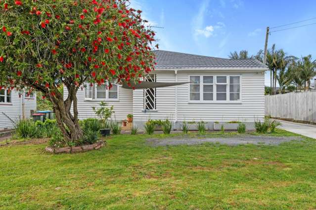 49a Fifth Avenue Mount Albert_2