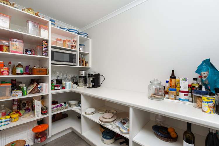 7 Waghorn Street Pyes Pa_9