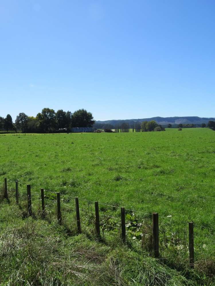 6261 State Highway 1 Kinleith_20