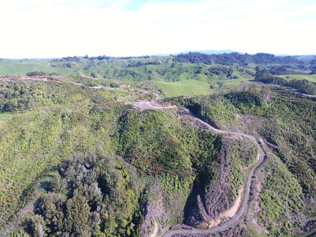 276B Waitomo Valley Road Otorohanga_3