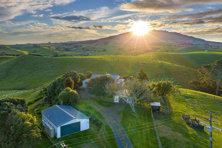 98a Houchen Road Raglan_7