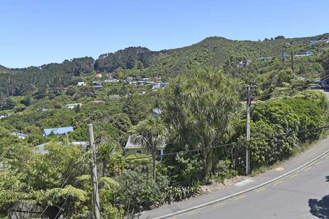 18a Montgomery Avenue Karori_2
