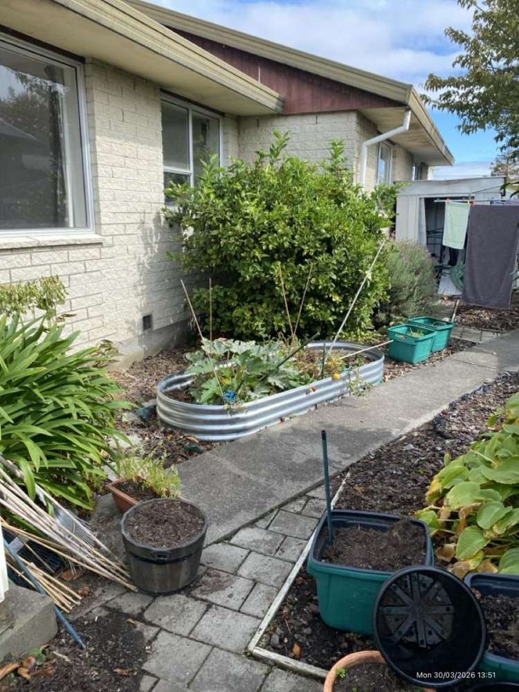 37 Petrie Street 1522_1