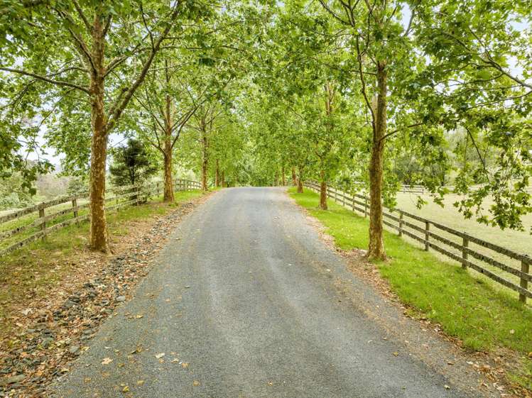 31 Plane Tree Lane Ruatangata West_14