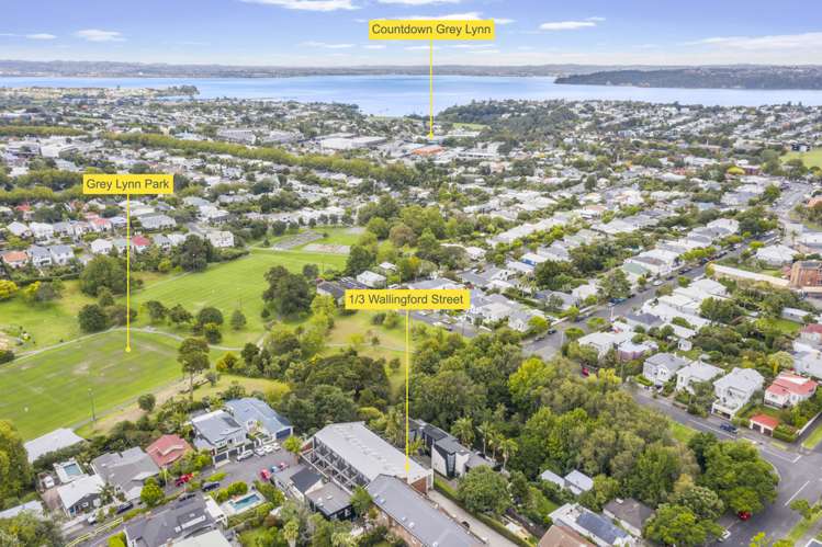 1/3 Wallingford Street Grey Lynn_18