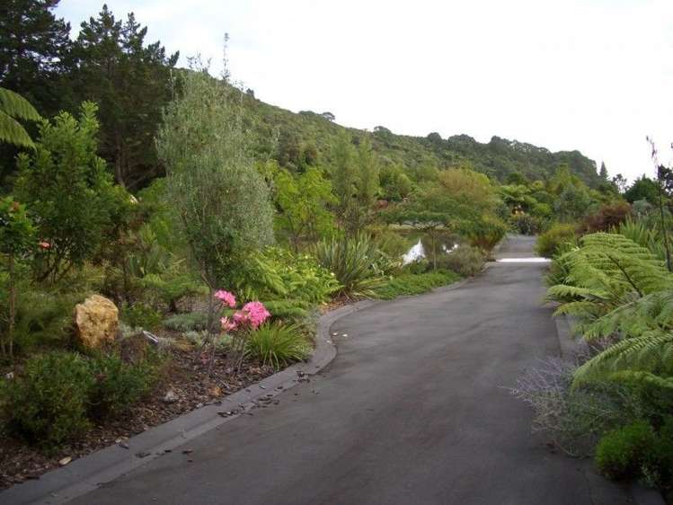 205 Pumpkin Hill Road Pumpkin Hill_19