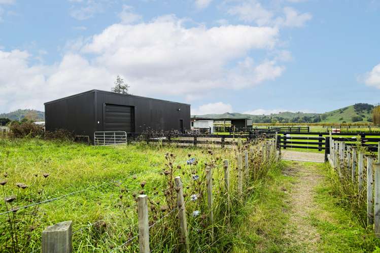 1290 Matawai Road Ormond_17