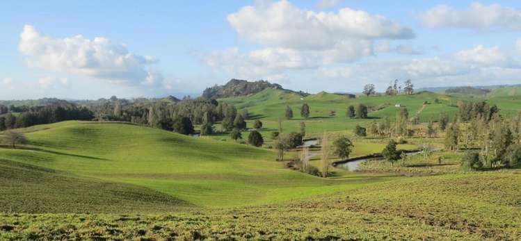 Waitomo Caves Road Waitomo_16