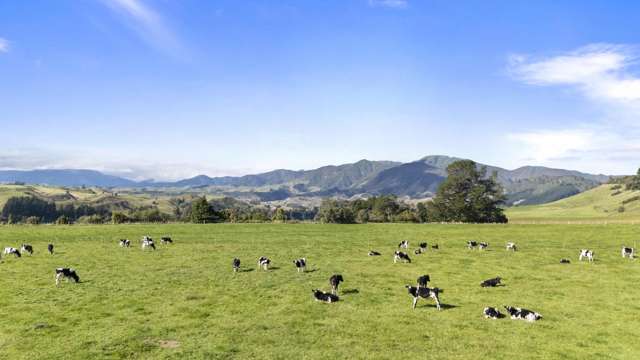 1 Takapari Road Pohangina_4