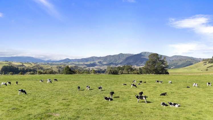 1 Takapari Road Pohangina_4