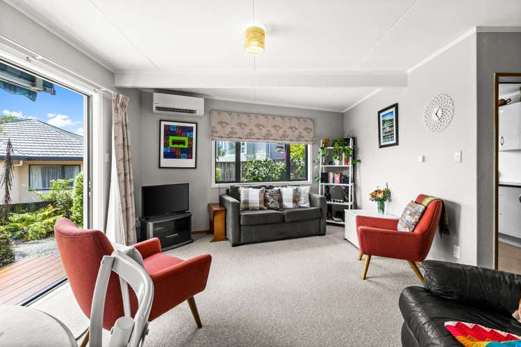 40 Campbell Street Havelock North_5