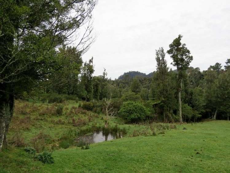 747a No 4 Road Te Puke_13