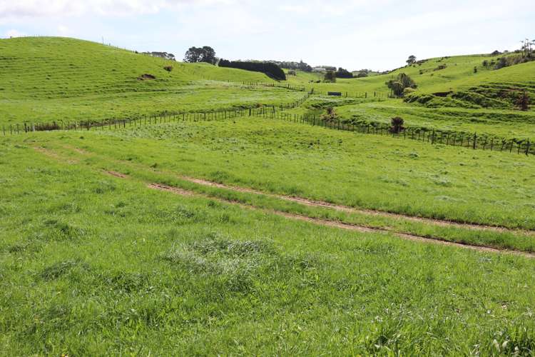 Lt2/310 Henwood Road Bell Block_7