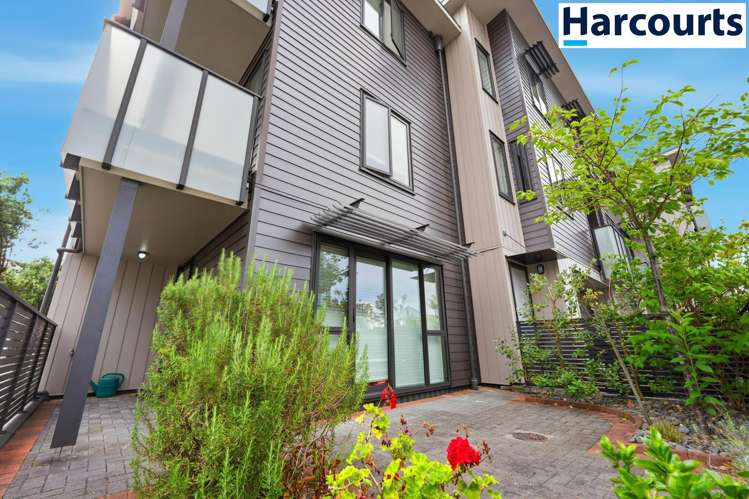 10 Harold Street Mount Eden_18