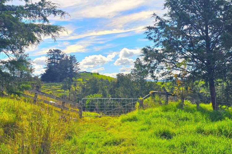 Lot lot 2 Koutu Loop Road Opononi_19