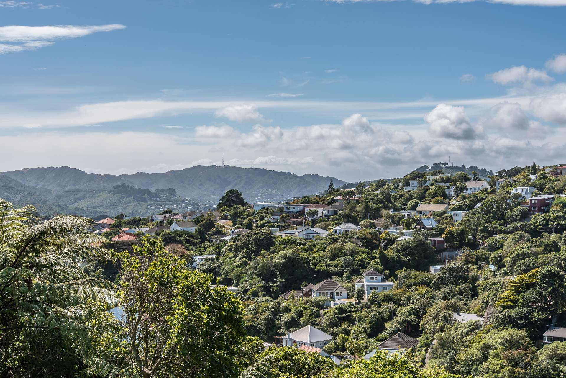 11 Voltaire Street Karori_0