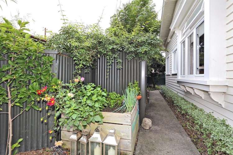 113a Murdoch Road West Raureka_17