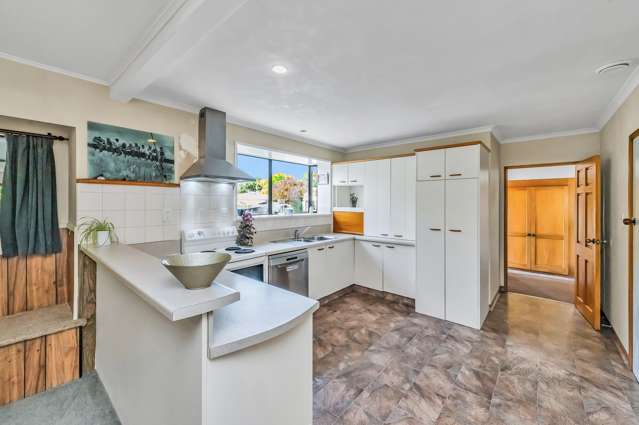 49 Pennington Street Leeston_1