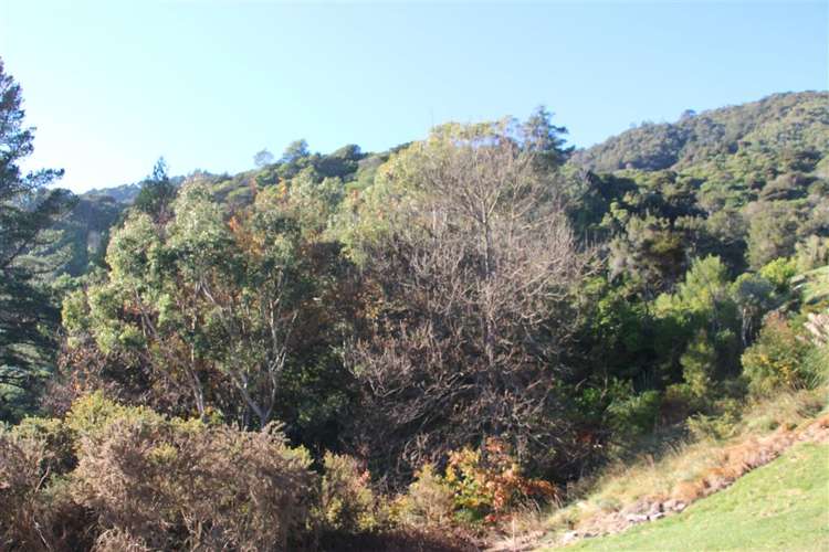 20 Russell Street Picton_16