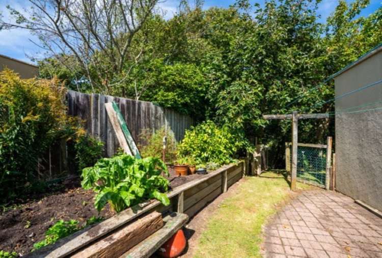 682 Rewi Street Te Awamutu_15