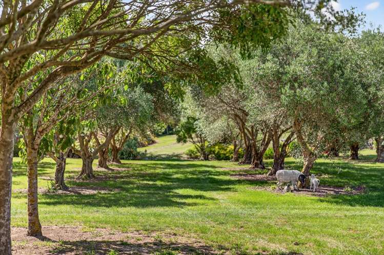 5/239 Lake Ferry Road Martinborough_22