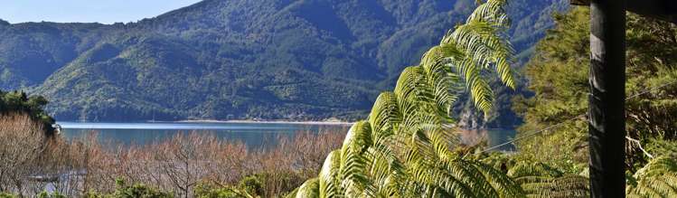 46 Hope Drive Okiwi Bay_6