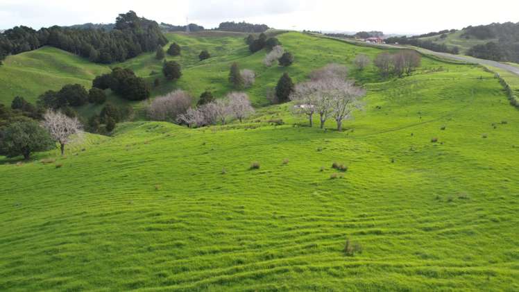 78 Otioro Road Topuni_17