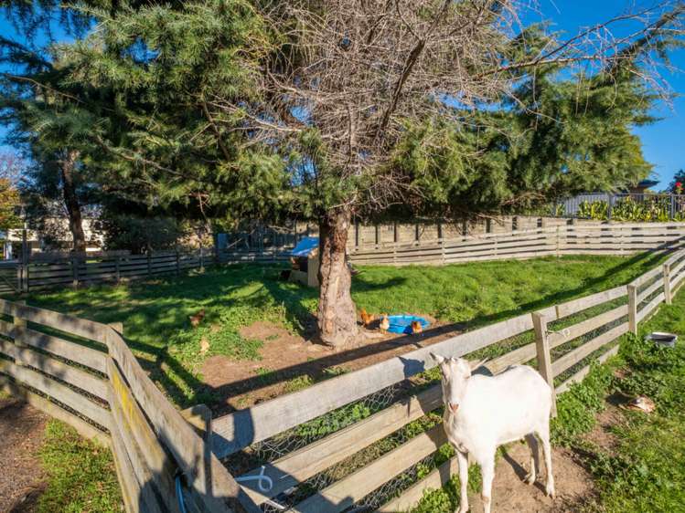 18a Brook Street Renwick_20