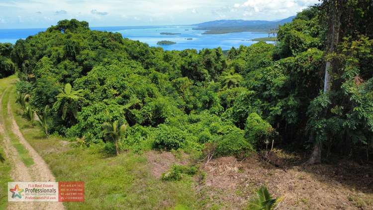 Address withheld Savusavu_19