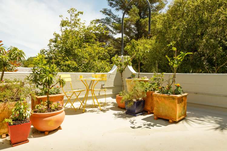 17/62 Moxham Avenue Hataitai_2