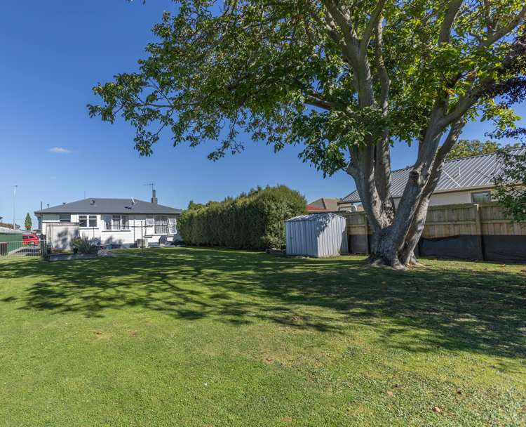 407 Murdoch Road West Raureka_13
