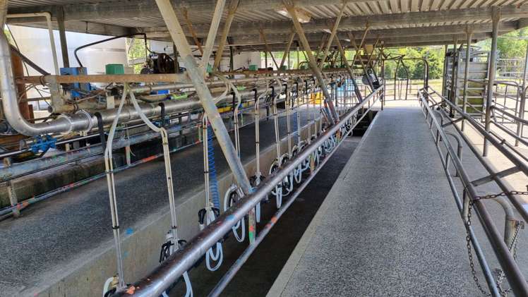 95 Masons Road Maromaku_10